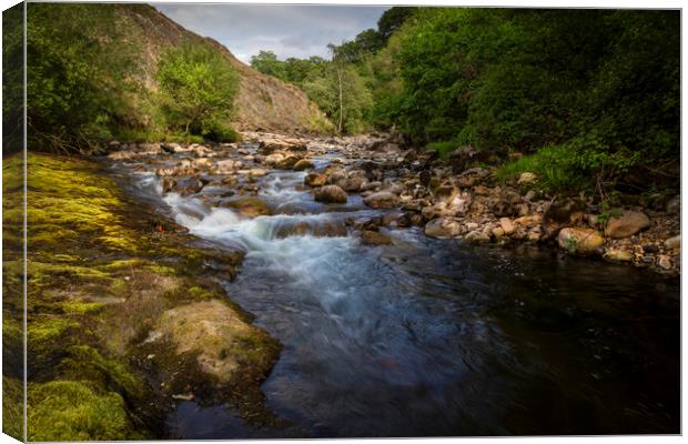 The Afon Twrch at Cwmllynfell Canvas Print by Leighton Collins