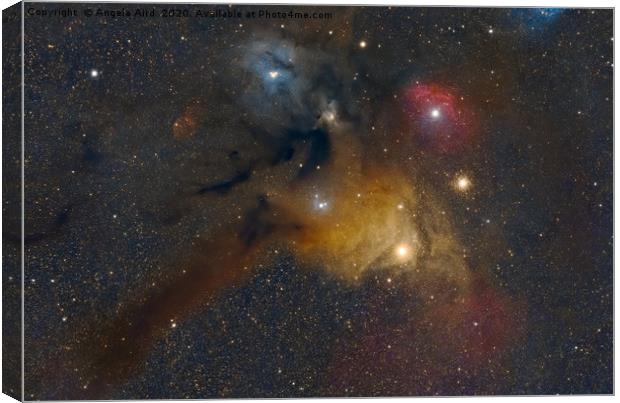 Rho Ophiuchi Cloud Complex. Canvas Print by Angela Aird