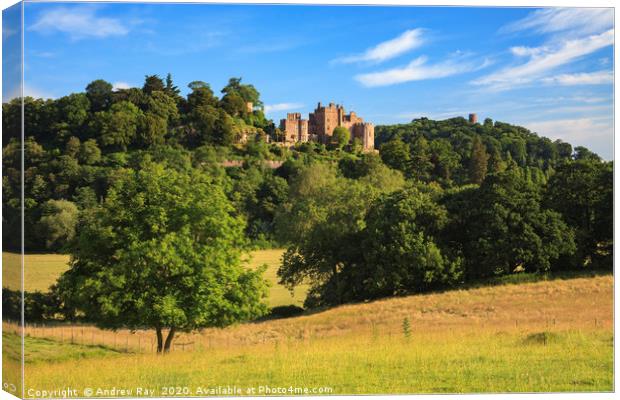 Castle View (Dunster) Canvas Print by Andrew Ray