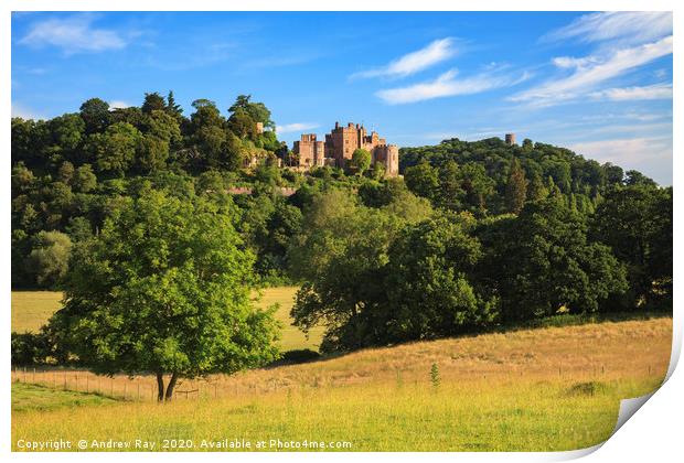 Castle View (Dunster) Print by Andrew Ray