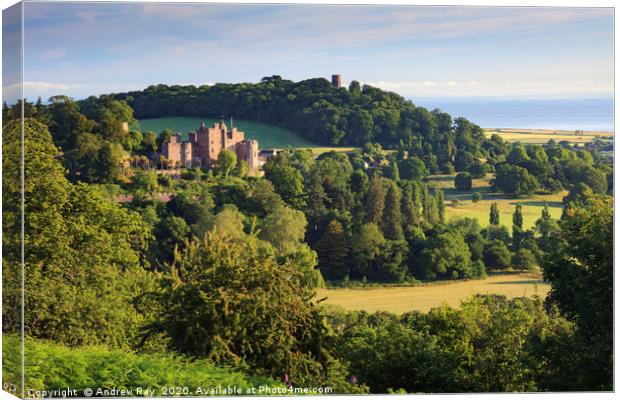 Dunster Castle Canvas Print by Andrew Ray