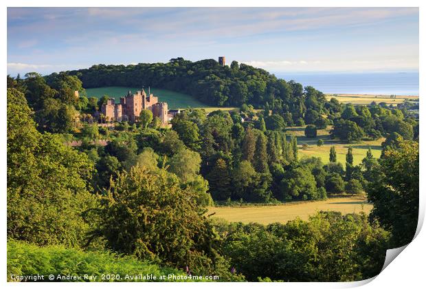 Dunster Castle Print by Andrew Ray