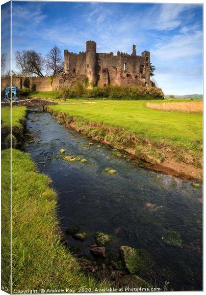 River at Laugharne Castle Canvas Print by Andrew Ray