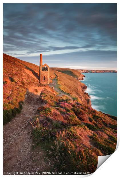 Path to Towanroath Engine House (Wheal Coates) Print by Andrew Ray