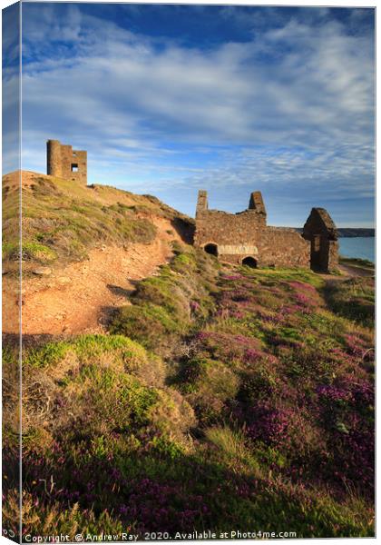 Engine Houses at Wheal Coates Canvas Print by Andrew Ray