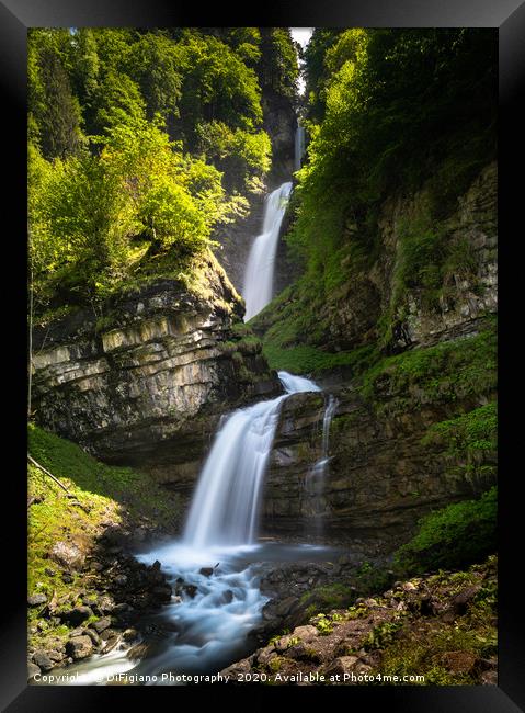 Late Spring At Diesbach Creek Waterfalls Framed Print by DiFigiano Photography