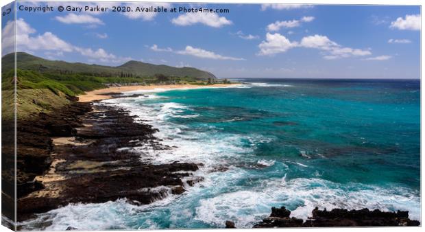 View of Sandy Beach Park, Hawaii Canvas Print by Gary Parker