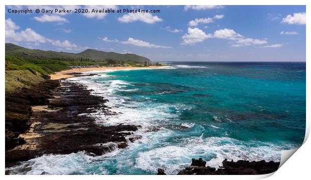 View of Sandy Beach Park, Hawaii Print by Gary Parker