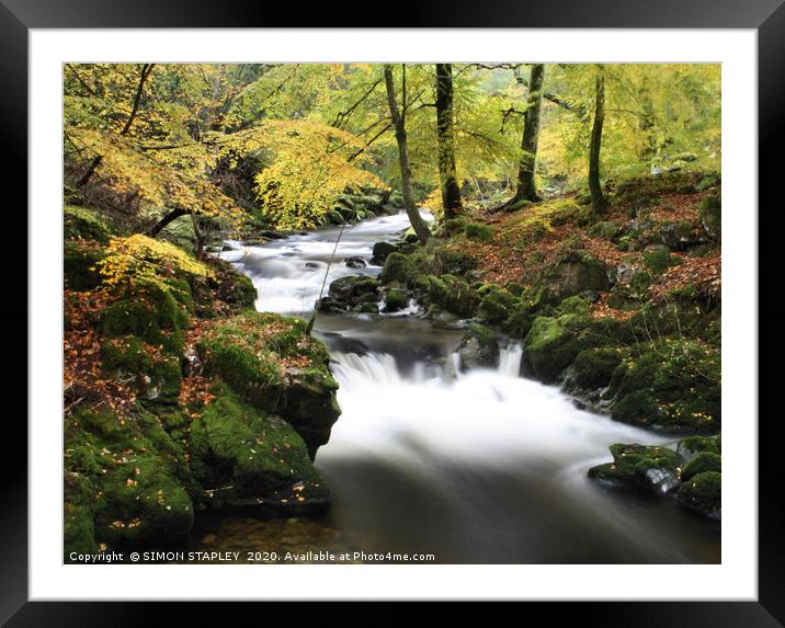 AUTUMN WOODLAND AND RIVER Framed Mounted Print by SIMON STAPLEY
