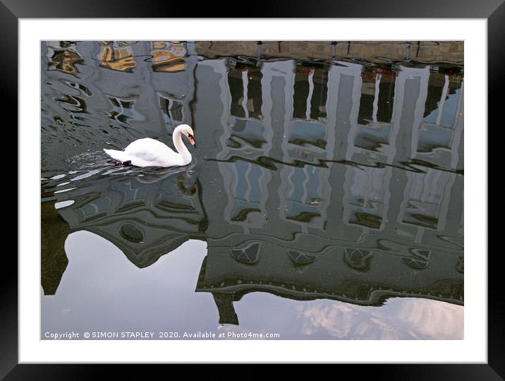 SWAN ON BRUGGES CANAL Framed Mounted Print by SIMON STAPLEY