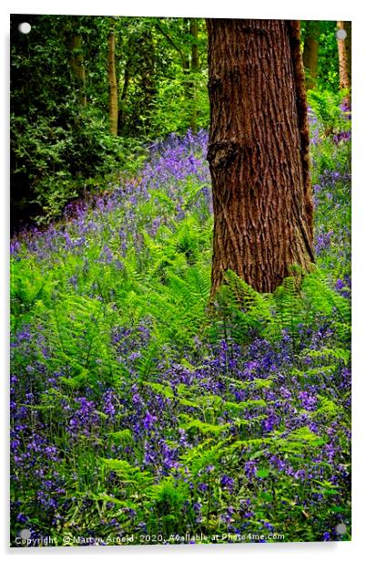 Durham Bluebell Wood 2020 Acrylic by Martyn Arnold