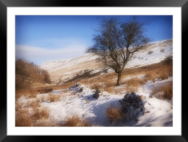 WINTER HAWTHORN Framed Mounted Print by Anthony R Dudley (LRPS)