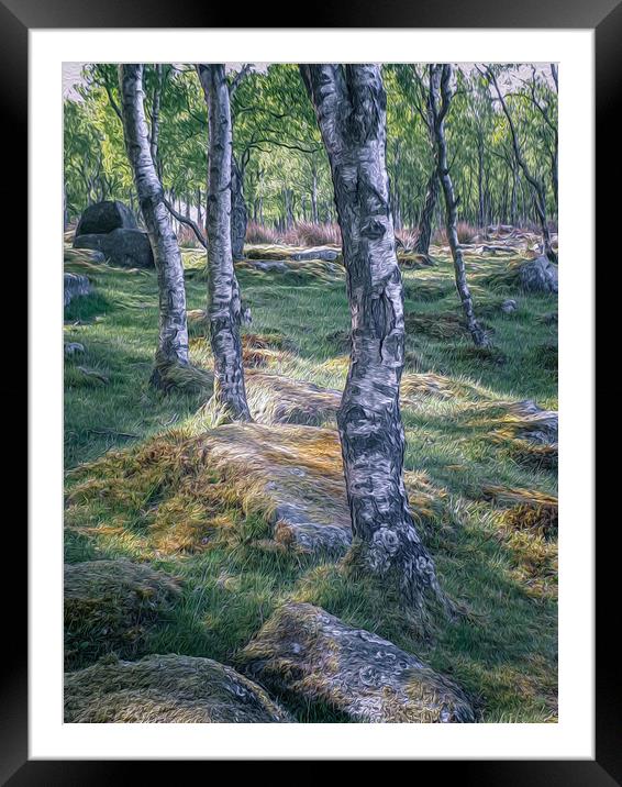 Silver Birch Framed Mounted Print by Paul Andrews