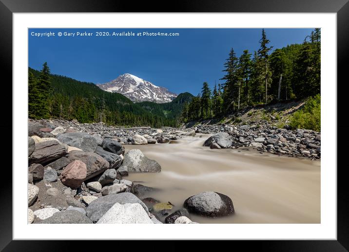 Mount Rainier, Washington State, in the summer. Framed Mounted Print by Gary Parker