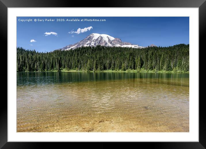 Mount Rainier, Washington State. Framed Mounted Print by Gary Parker