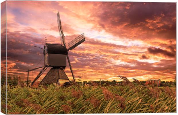 Sunset on the Dutch windmill above the fence of wi Canvas Print by Ankor Light
