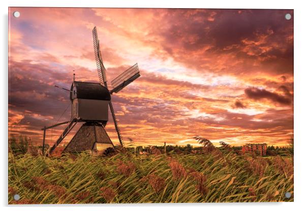 Sunset on the Dutch windmill above the fence of wi Acrylic by Ankor Light