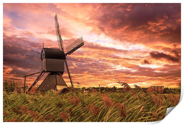 Sunset on the Dutch windmill above the fence of wi Print by Ankor Light