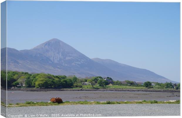 Croagh Patrick from Westport Quay Canvas Print by Liam Neon