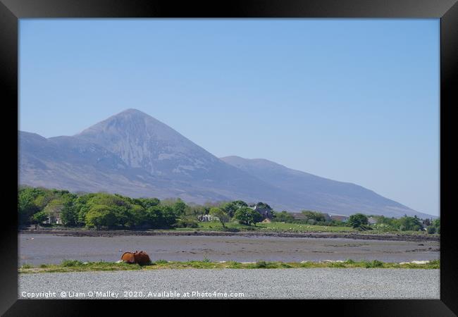 Croagh Patrick from Westport Quay Framed Print by Liam Neon