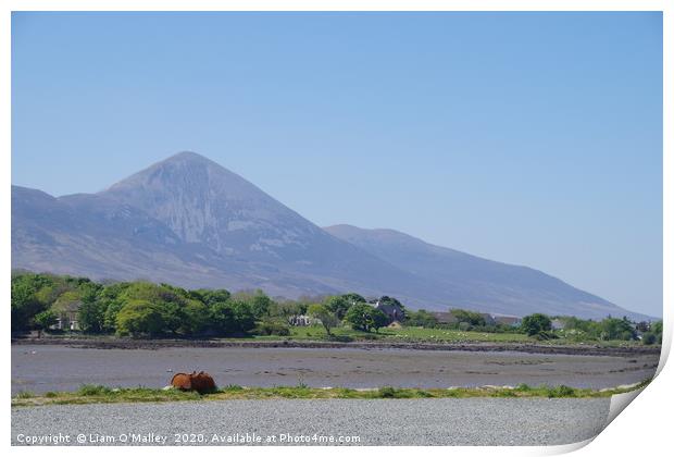 Croagh Patrick from Westport Quay Print by Liam Neon