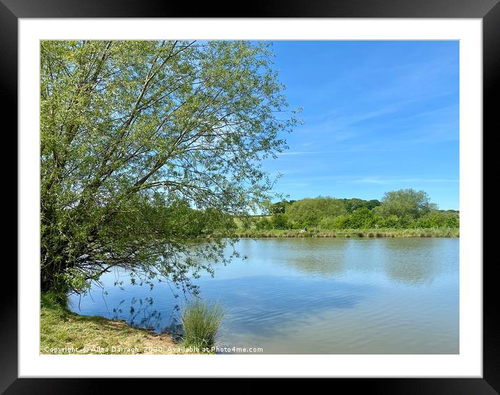 The lake at Cherry Orchard Country Park Framed Mounted Print by Ailsa Darragh