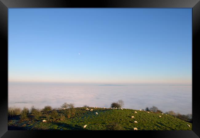 Above the clouds Framed Print by David Wall