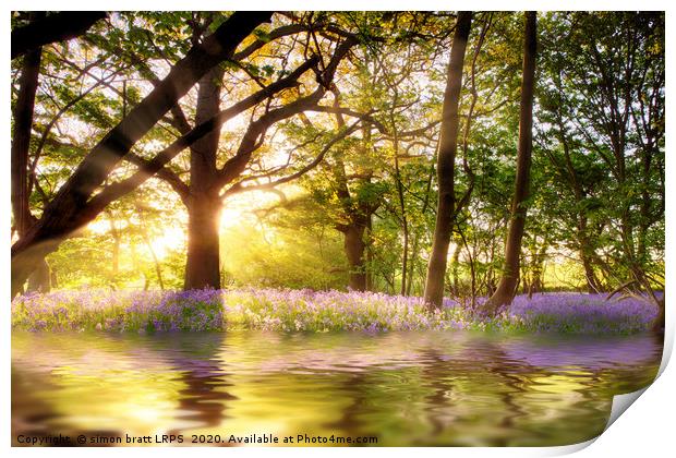 Magical pond in bluebell forest Print by Simon Bratt LRPS