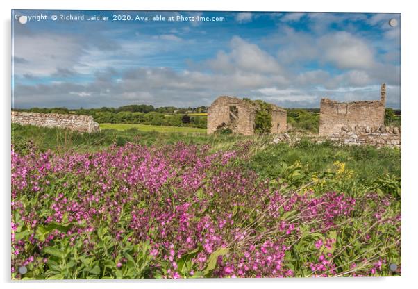 Ruined Barns and Red Campion Acrylic by Richard Laidler