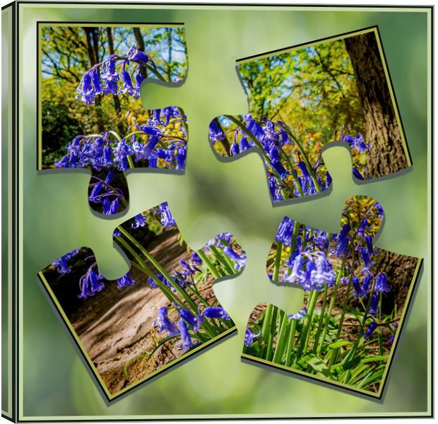 Bluebell Puzzle Canvas Print by Colin Metcalf