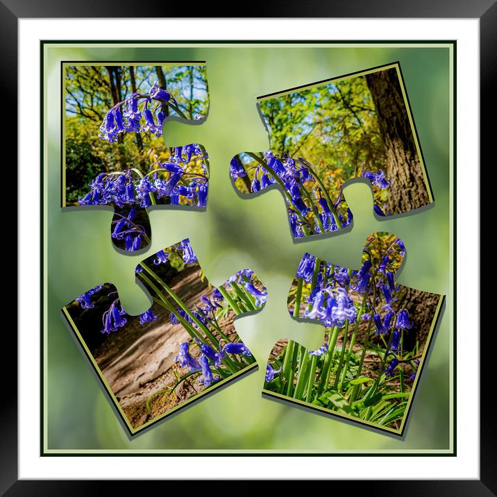 Bluebell Puzzle Framed Mounted Print by Colin Metcalf
