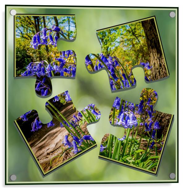 Bluebell Puzzle Acrylic by Colin Metcalf