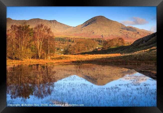 Reflections in Kelly Hall Tarn Framed Print by Andrew Ray
