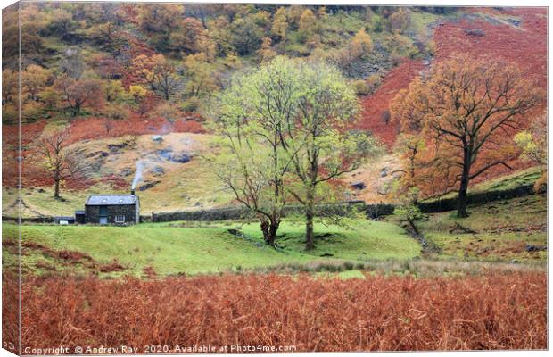 Autumn at Alisongrass Hoghouse Canvas Print by Andrew Ray