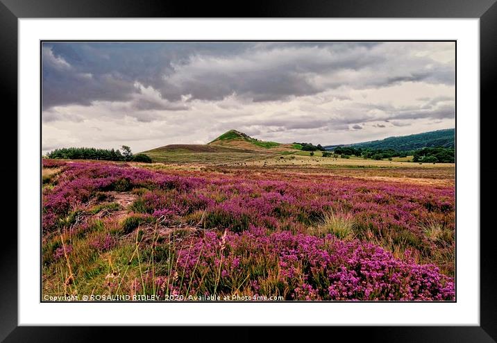 "Threatening clouds over the North York moors" Framed Mounted Print by ROS RIDLEY