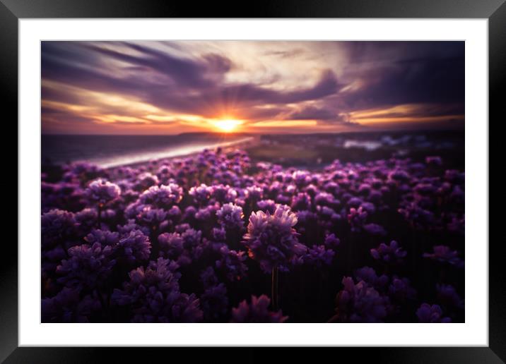 Thrift into the sun Framed Mounted Print by Ben Russell