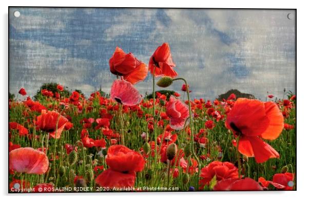 "Poppies in the wind " Acrylic by ROS RIDLEY