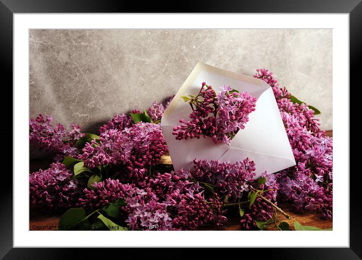 Sending You Lilacs Framed Mounted Print by Randi Grace Nilsberg