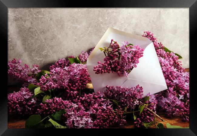 Sending You Lilacs Framed Print by Randi Grace Nilsberg