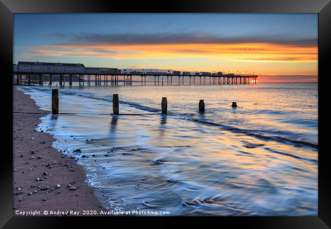 Towards Teighmouth Pier  Framed Print by Andrew Ray
