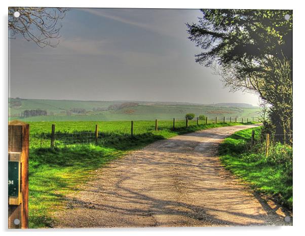 Dorset Countryside Acrylic by Nicola Clark