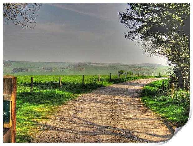 Dorset Countryside Print by Nicola Clark