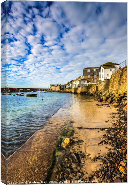 Mousehouse Foreshore Canvas Print by Andrew Ray