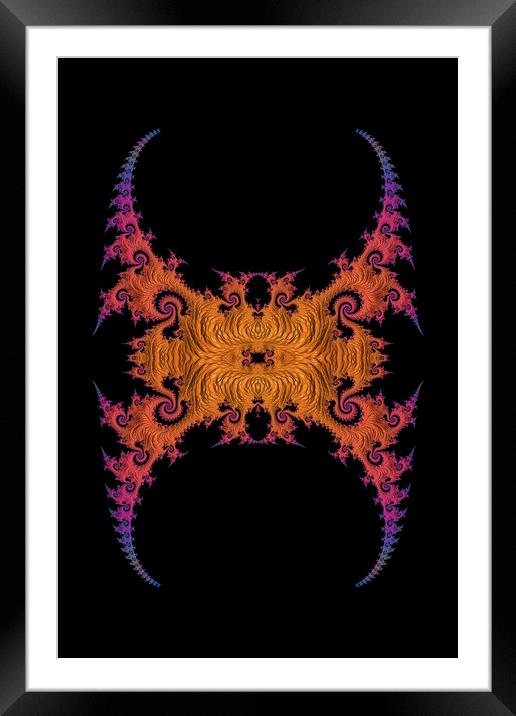 Spiky Framed Mounted Print by Steve Purnell
