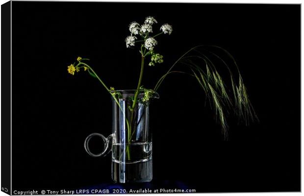 MEADOW FLOWERS AND GRASS STEM IN AN ELEGANT GLASS  Canvas Print by Tony Sharp LRPS CPAGB