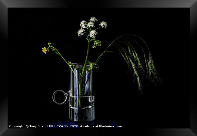 MEADOW FLOWERS AND GRASS STEM IN AN ELEGANT GLASS  Framed Print by Tony Sharp LRPS CPAGB
