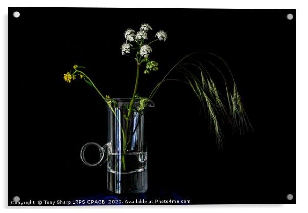 MEADOW FLOWERS AND GRASS STEM IN AN ELEGANT GLASS  Acrylic by Tony Sharp LRPS CPAGB
