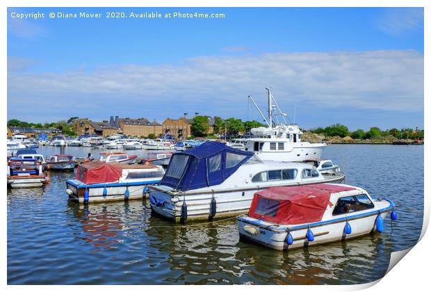 Oulton Broad Suffolk Print by Diana Mower