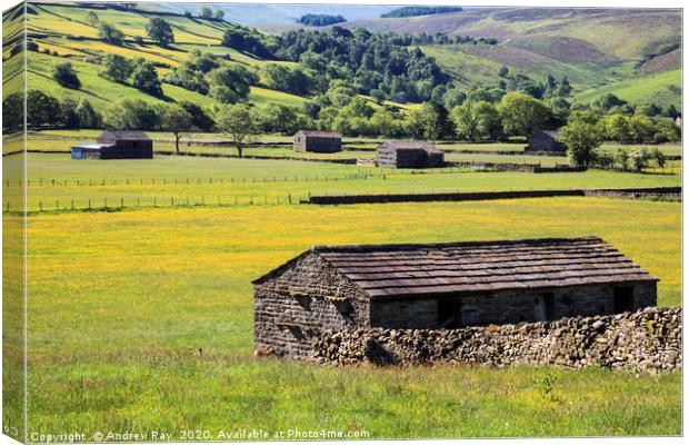 Raydale Barns Canvas Print by Andrew Ray