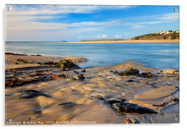 Porth Kidney Acrylic by Andrew Ray